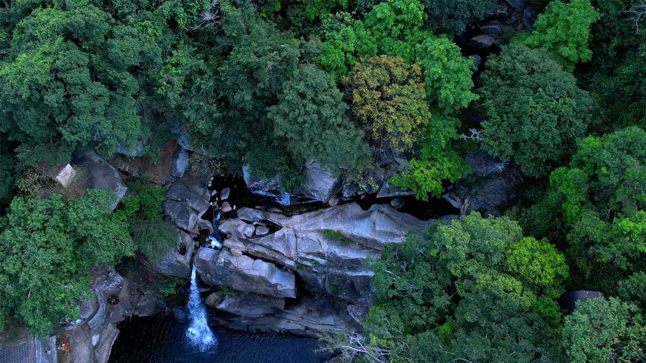 Shenbagadevi Falls (Trekking)