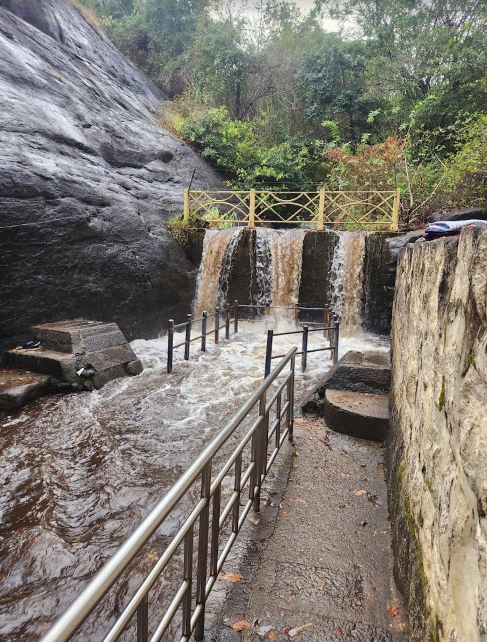 Tiger  Falls